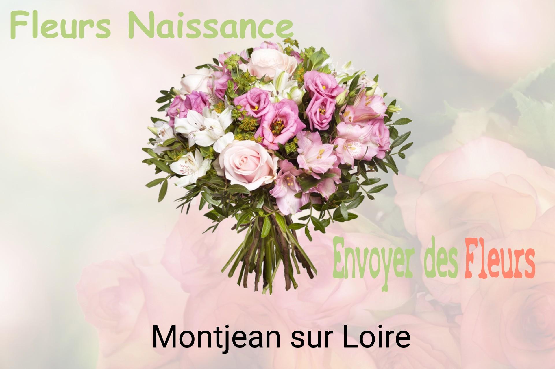 Bouquet de fleurs de naissance livré à Montjean-sur-Loire